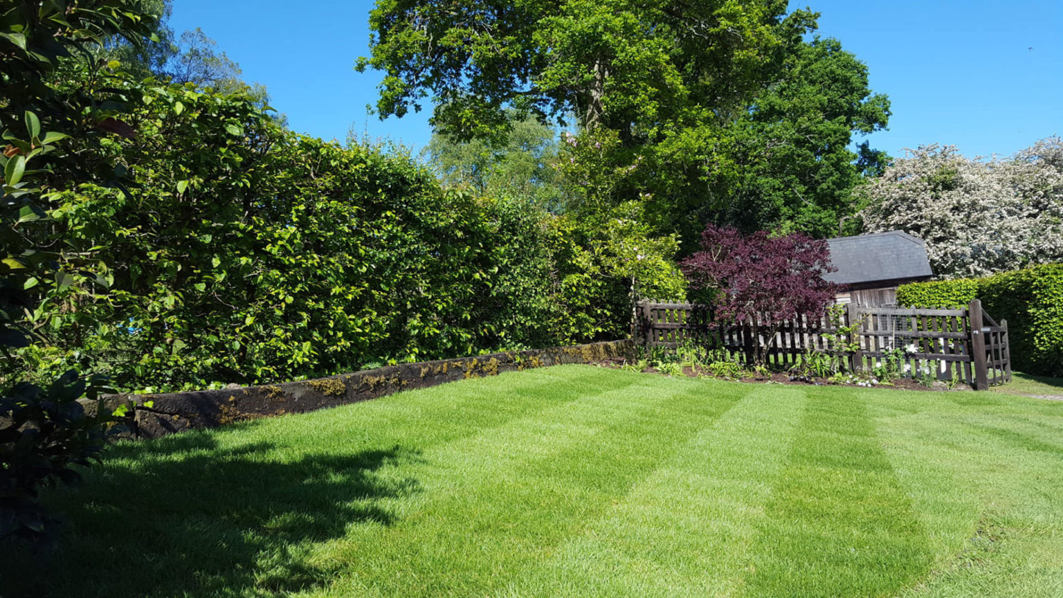 Contact us Grounds Management Company